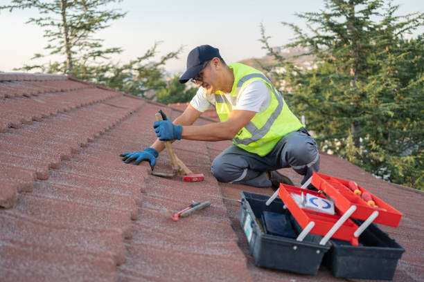 Best Storm Damage Roof Repair  in Lillian, AL