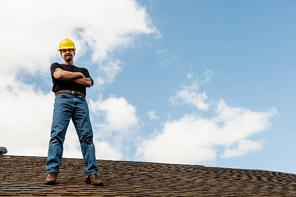 Roof Gutter Cleaning in Lillian, AL